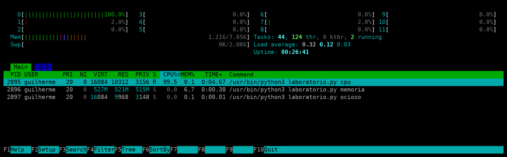 htop com um processo de laboratório próximo de 100% de CPU e outro usando cerca de 521 MiB de memória residente.